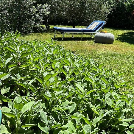 Golden Hill - Big Rooms With Kitchen And Garden Collina d'Oro Exterior foto