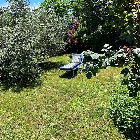 Golden Hill - Big Rooms With Kitchen And Garden Collina d'Oro Exterior foto