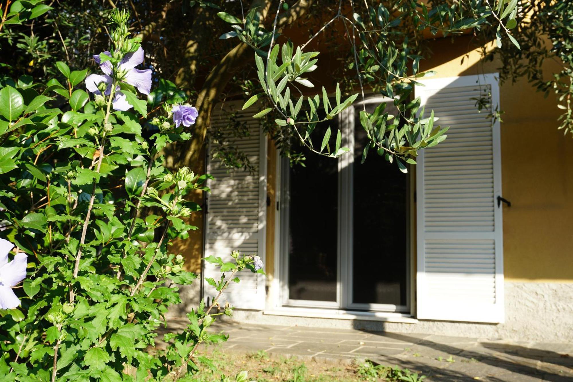 Golden Hill - Big Rooms With Kitchen And Garden Collina d'Oro Exterior foto