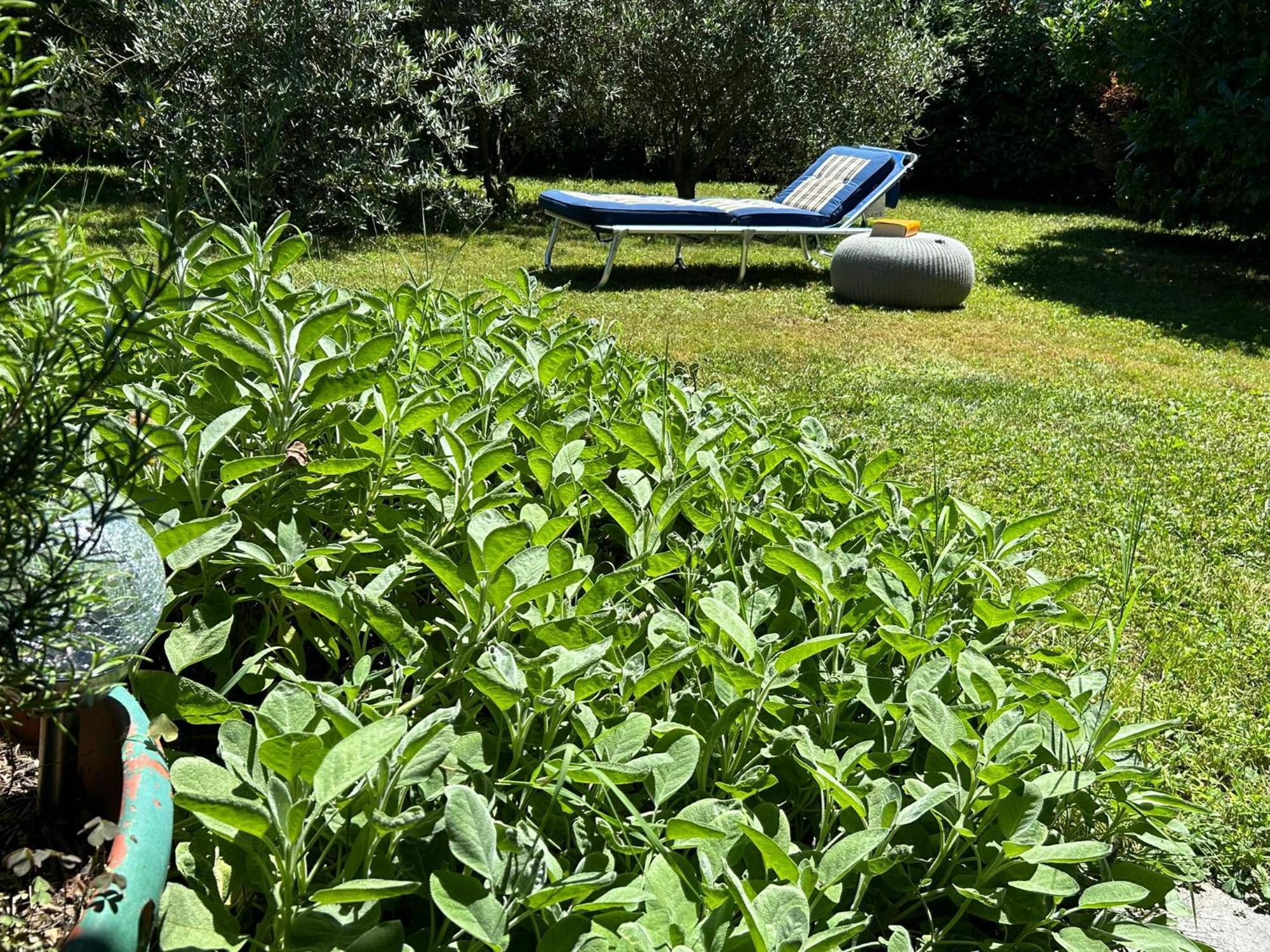 Golden Hill - Big Rooms With Kitchen And Garden Collina d'Oro Exterior foto